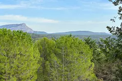 Vente maison Aix-en-Provence 