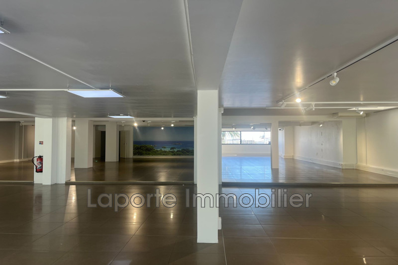 Professionnel boutique Antibes  