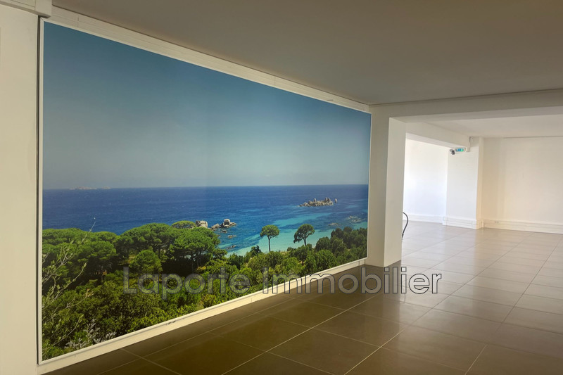 Professionnel local commercial Antibes  