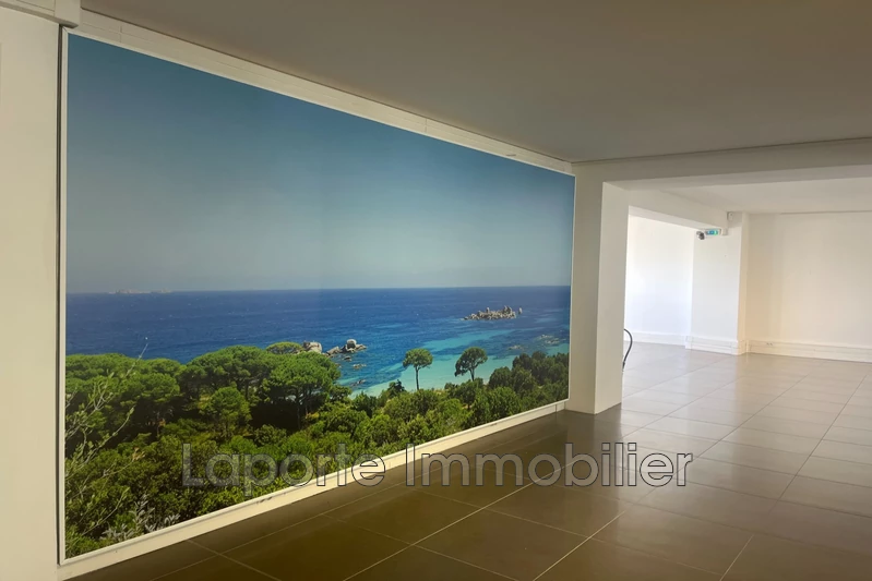 Professionnel local commercial Antibes  