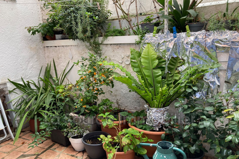 Photo n°3 - Vente maison Vidauban 83550 - 95 000 €