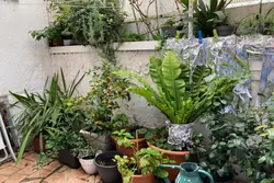Vente maison Vidauban  