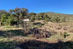 Vente maison Vidauban  