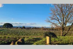 Photos  Maison Propriété à vendre La Garde-Freinet 83680