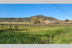 Photos  Maison à vendre Vidauban 83550