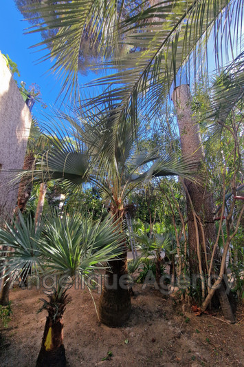 Vente maison Saint-Aygulf  