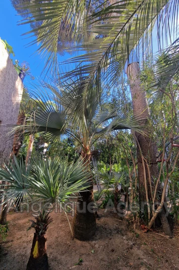 Vente maison Saint-Aygulf  