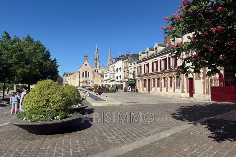 Professionnel  Chartres  