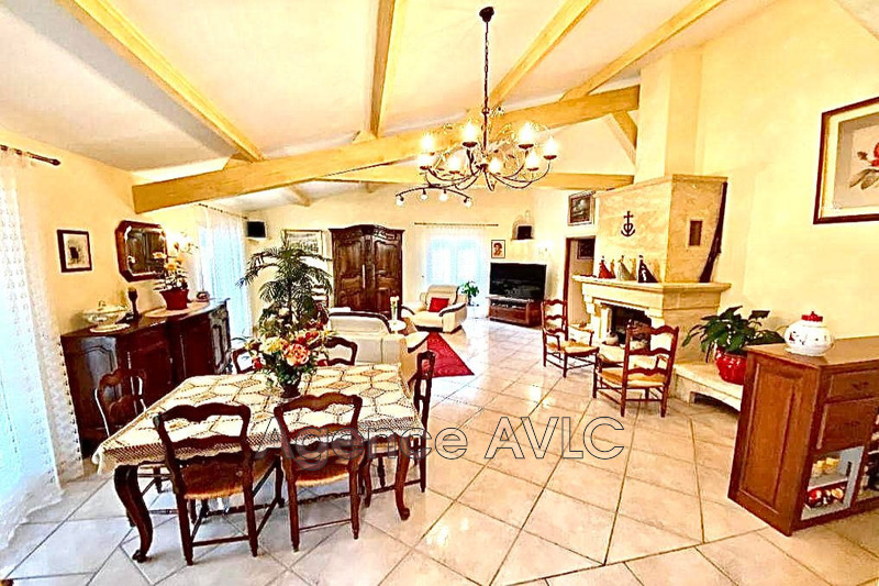 Vente villa provençale Arles  
