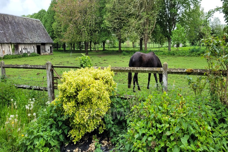 Vente propriété Bourg-Achard  