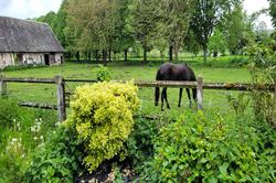 Vente propriété Bourg-Achard  