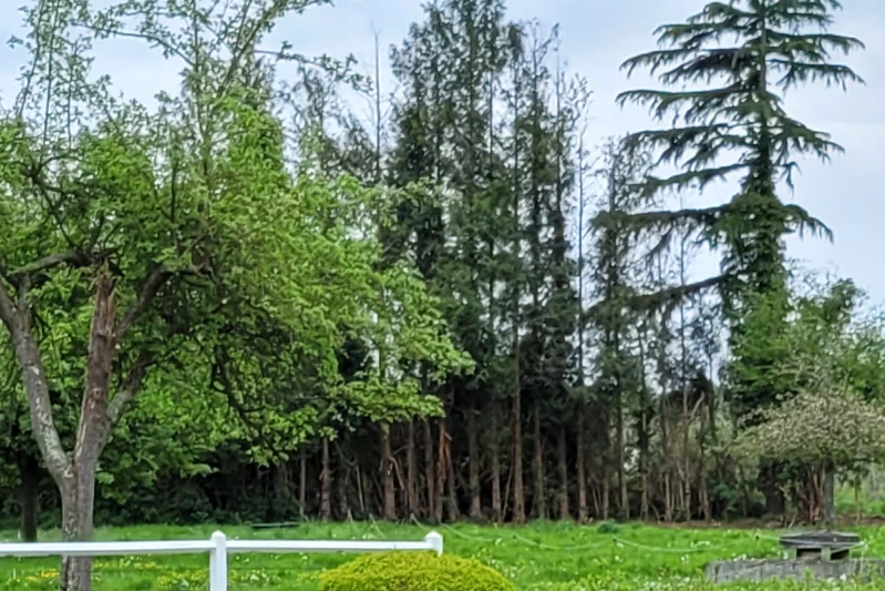 Vente propriété Bourg-Achard  
