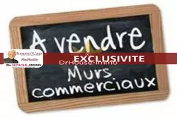 Professionnel locaux cap d agde  