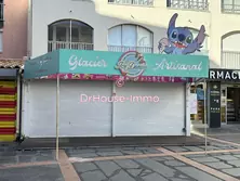 Professionnel  Agde  