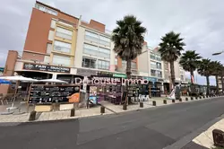 Professionnel  cap d agde  