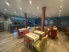 Professionnel Marseillan Professionnel Marseillan