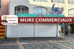 Professionnel locaux Agde  