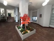 Vente appartement cap d agde  