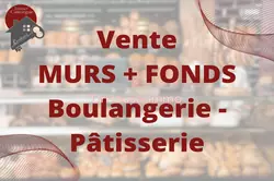 Professionnel  Aigues-Mortes  