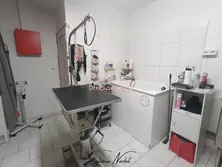 Professionnel Le Grau-du-Roi Professionnel Le Grau-du-Roi