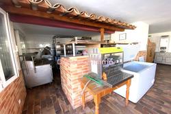 Professionnel  Saintes-Maries-de-la-Mer  