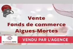 Professionnel  Aigues-Mortes  