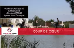 Professionnel locaux Saint-Laurent-d'Aigouze  