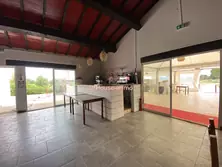 Professionnel locaux Saint-Laurent-d'Aigouze  