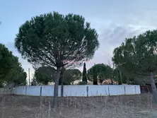 Professionnel locaux Saint-Laurent-d'Aigouze  