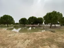 Professionnel locaux Saint-Laurent-d'Aigouze  