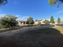 Professionnel locaux Saint-Laurent-d'Aigouze  