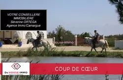 Professionnel locaux Saint-Laurent-d'Aigouze  