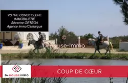 Professionnel locaux Saint-Laurent-d'Aigouze  