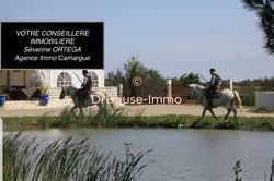 Professionnel locaux Saint-Laurent-d'Aigouze  