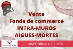 Professionnel  Aigues-Mortes  