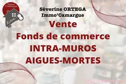Professionnel  Aigues-Mortes  