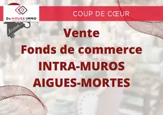 Professionnel  Aigues-Mortes  