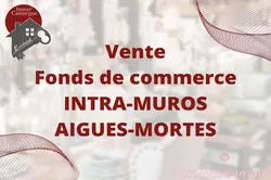 Professionnel  Aigues-Mortes  
