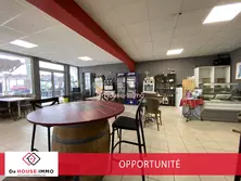 Professionnel  Aigues-Mortes  