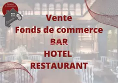 Professionnel  Aigues-Mortes  