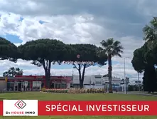 Professionnel locaux Le Grau-du-Roi  