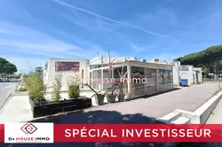 Professionnel locaux Le Grau-du-Roi  