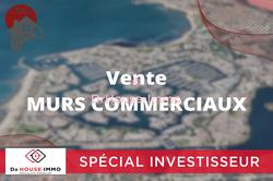 Professionnel locaux Le Grau-du-Roi  