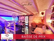 Professionnel  Le Grau-du-Roi  