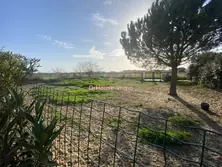 Vente maison Saint-Laurent-d'Aigouze  