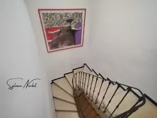 Vente maison Aigues-Mortes  