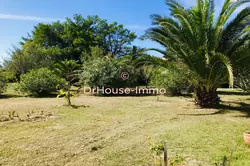 Vente maison Saintes-Maries-de-la-Mer  