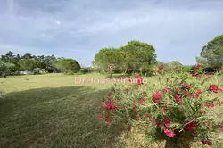 Vente maison Saintes-Maries-de-la-Mer  
