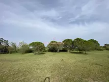 Vente maison Saintes-Maries-de-la-Mer  