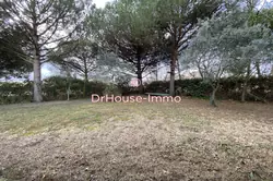 Vente maison Saintes-Maries-de-la-Mer  